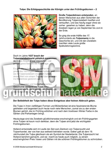 Tulpe-Erfolgsgeschichte-2.pdf